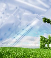 Green Initiative
